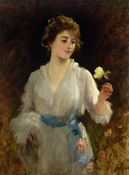 The Yellow Rose